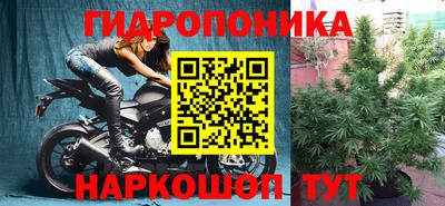 apvp Тверь