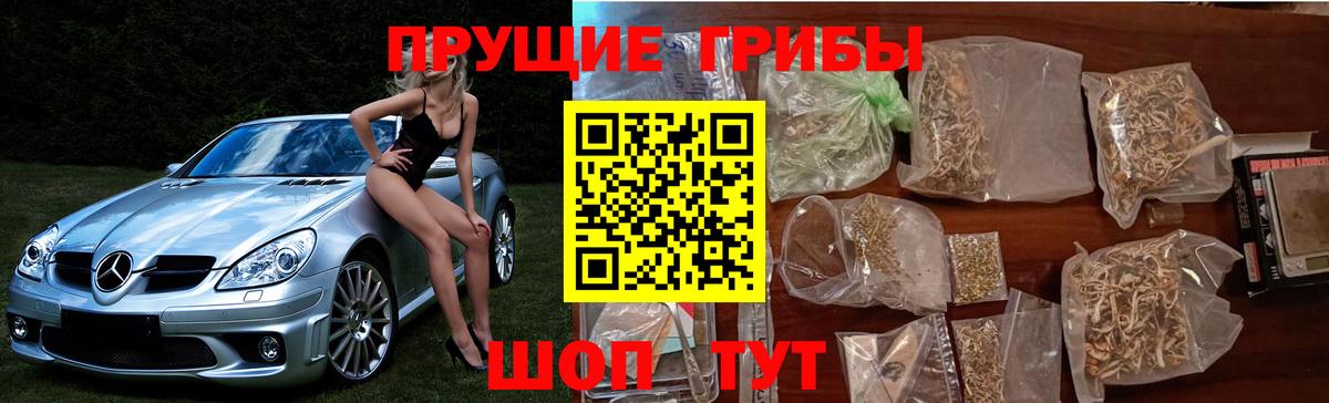 Учалы  Галлюциногенные грибы Psilocybine cubensis  Вход с VPN  Галлюциногенные грибы Psilocybe 